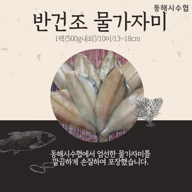 동해몰,[동해시수협] 손질 물가자미(500g내외,10미)*2팩